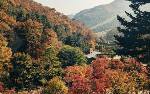 나무 사이로 보이는 가을 산책로와 단풍