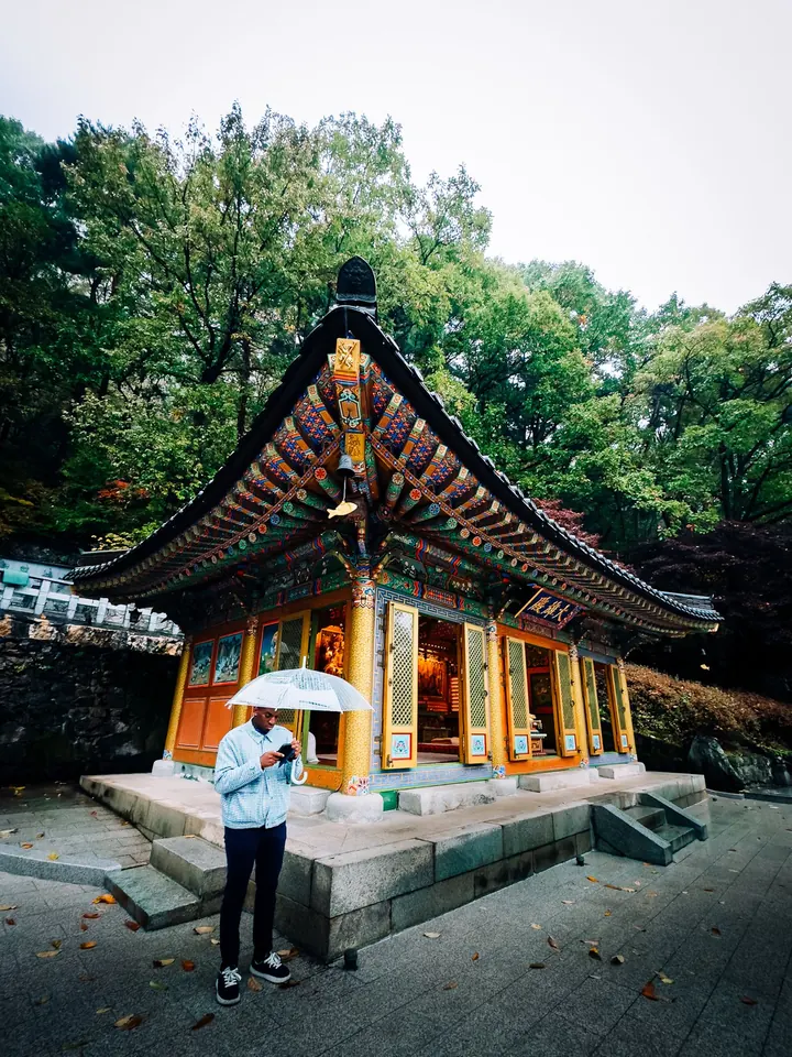 우산을 든 방문객이 가을 사찰 전각 앞에 서 있는 모습